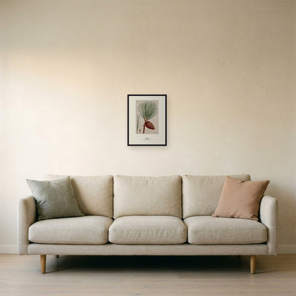 Pitch Pine Botanical Art Print - Birch & Banksia