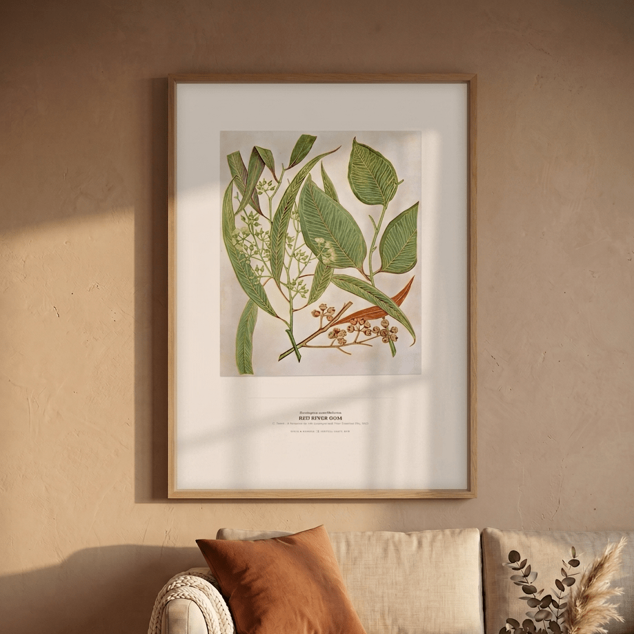 Red River Gum Botanical Art Print - Birch & Banksia
