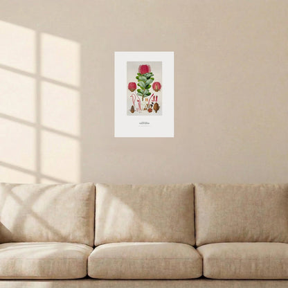 Scarlet Banksia Botanical Art Print - Birch & Banksia