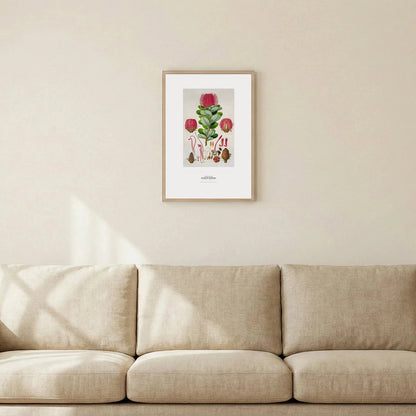 Scarlet Banksia Botanical Art Print - Birch & Banksia