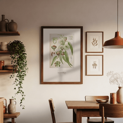 Tasmanian Blue Gum Botanical Art Print - Birch & Banksia