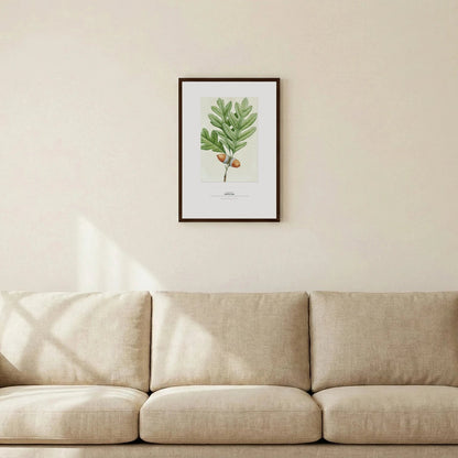 White Oak Botanical Art Print - Birch & Banksia