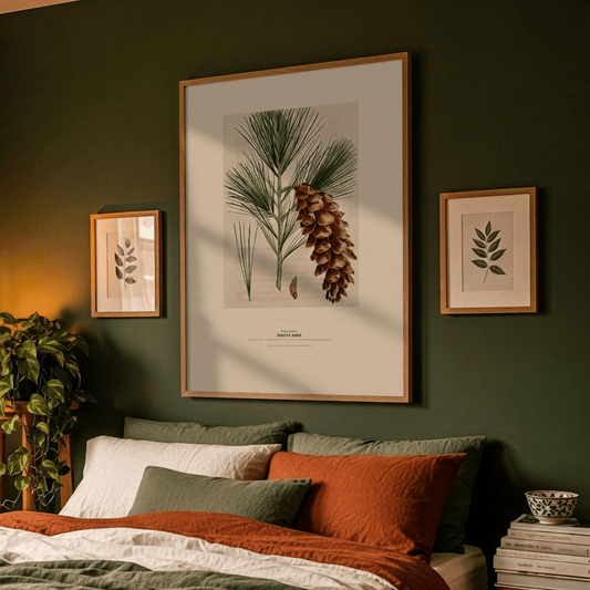 White Pine Botanical Art Print - Birch & Banksia