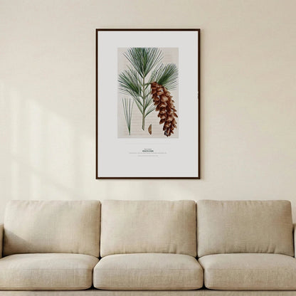 White Pine Botanical Art Print - Birch & Banksia