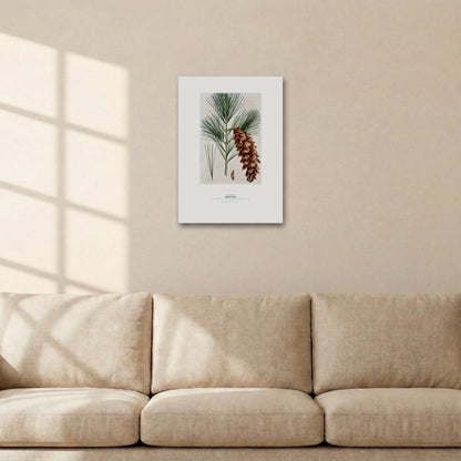 White Pine Botanical Art Print - Birch & Banksia